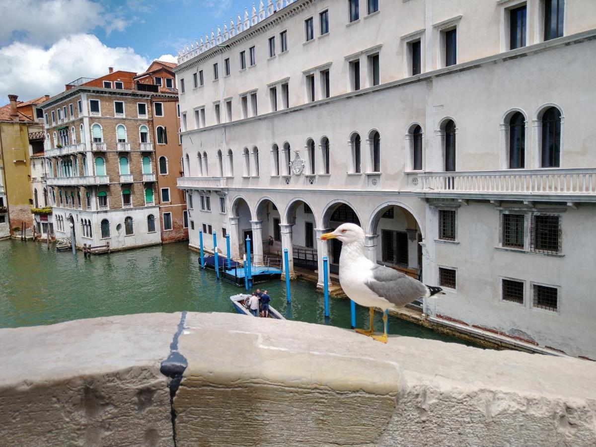 Love Island Venezia Eksteriør bilde